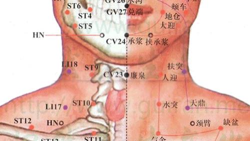 胃病|经络穴位，一日一学——水突，治疗慢性咽炎的常用穴