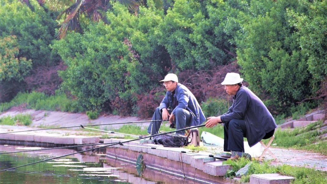 芝麻|早春大晴天不好钓鱼？抓住这两个时间段出钓，别人无口你连竿