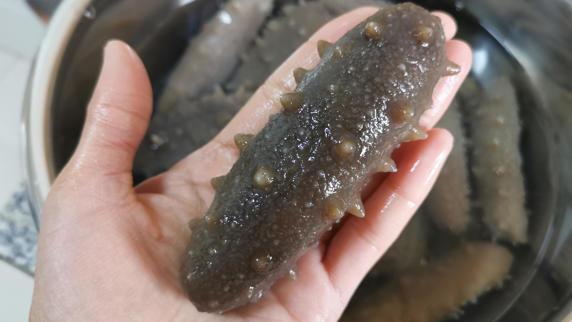 海参那么贵，最忌直接加水泡，正确做法和要点讲解，新手一次成功