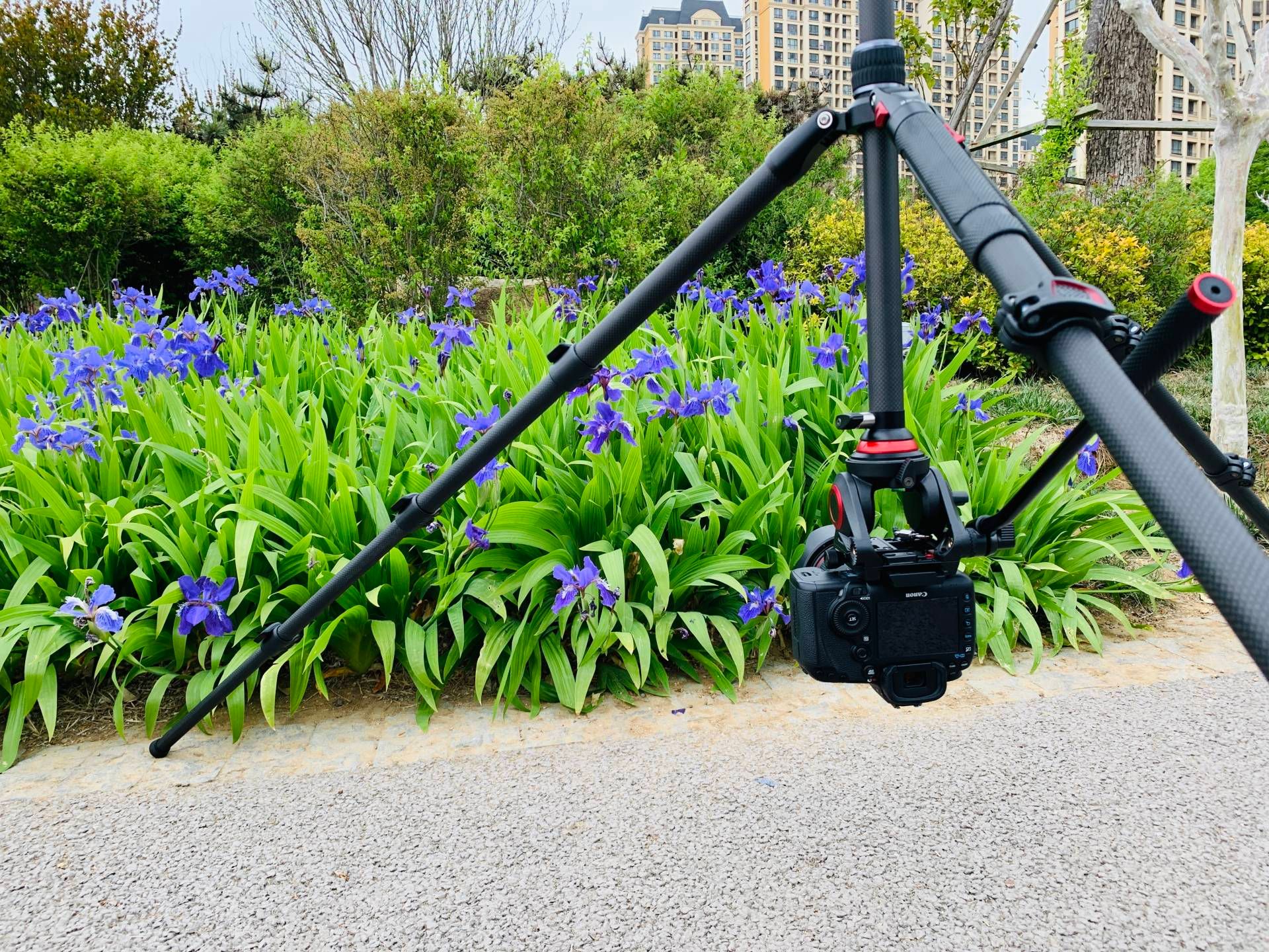 电子商务|摄影短视频爱好者必看|三脚架、手机套装、补光灯使用体验