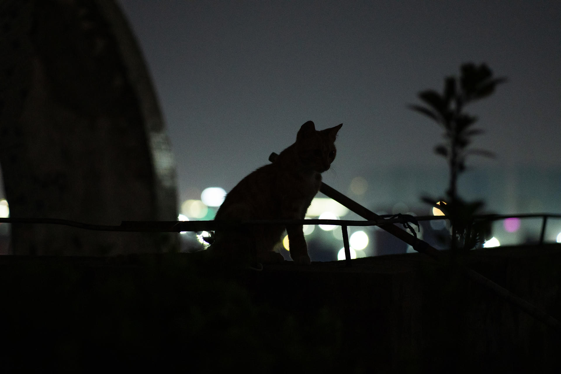 GPU|森养 75mm F1.8 镜头评测,轻巧且带有「复古」之味