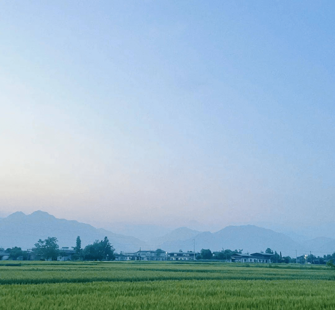 创建天府旅游名县|风吹麦浪！一起来赏绵竹好风光