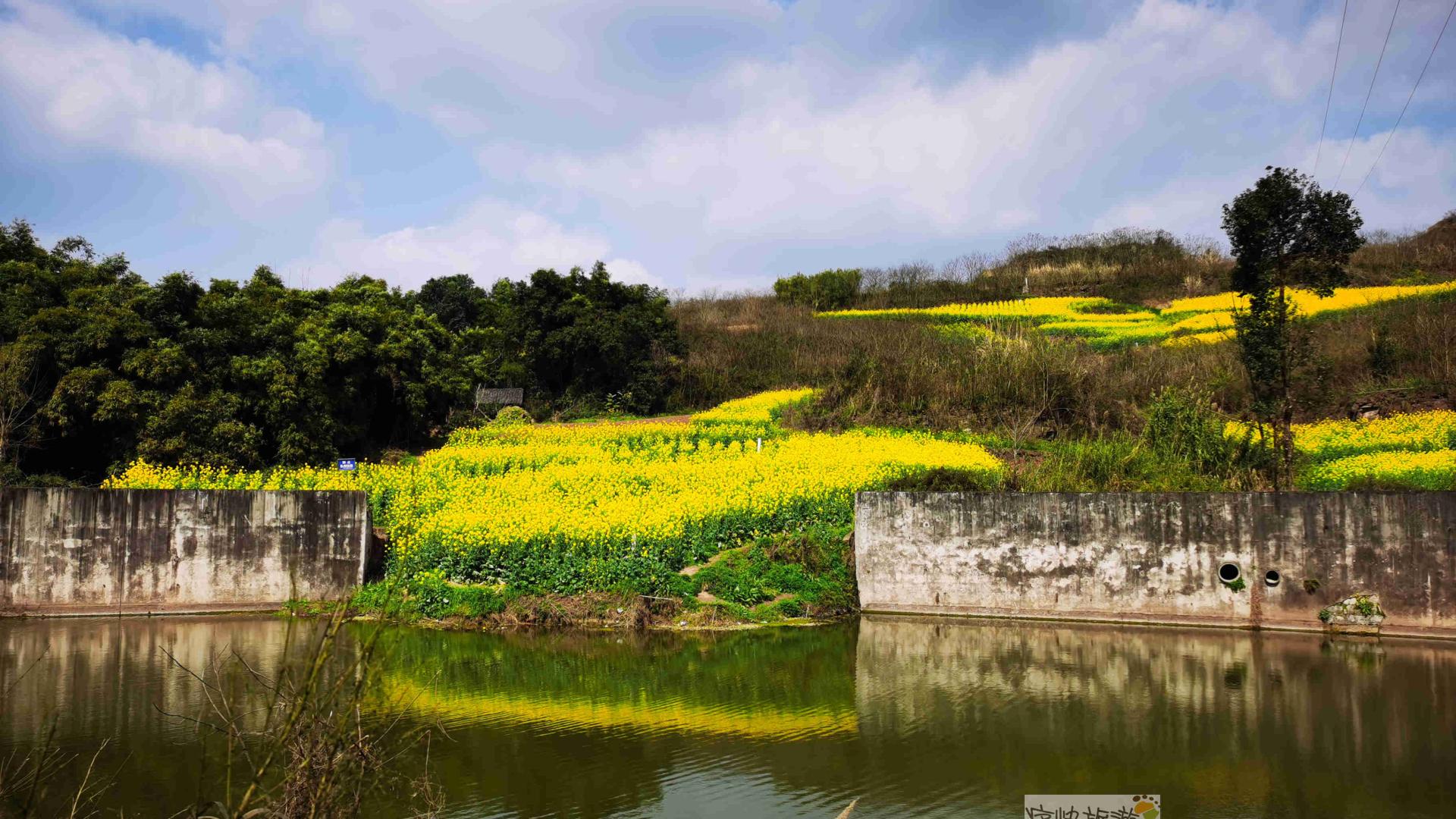 |内自边界行——走进乌龙河高滩桥的春天里