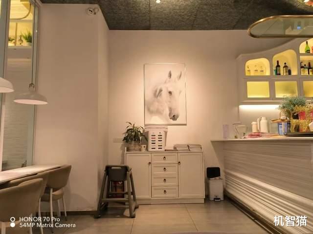 荣耀|荣耀70 Pro/Pro+测评:三好学生中的特长生