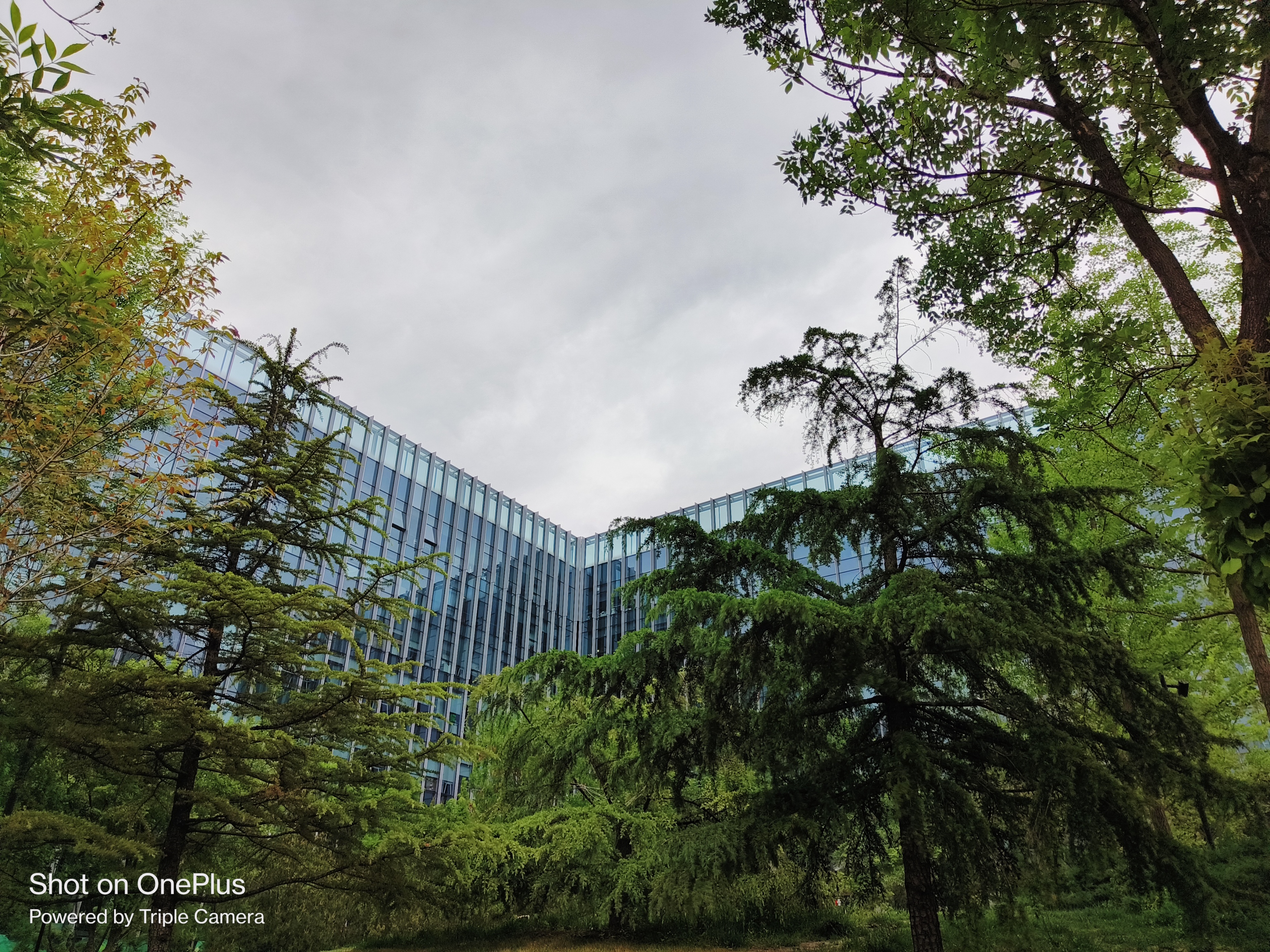 一加科技|一加Ace深度评测:有颜有料又能打 提前锁定年度水桶机