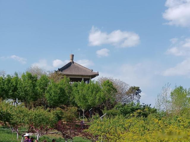 小米科技|支持5G双卡双待更流畅 TD Tech M40评测