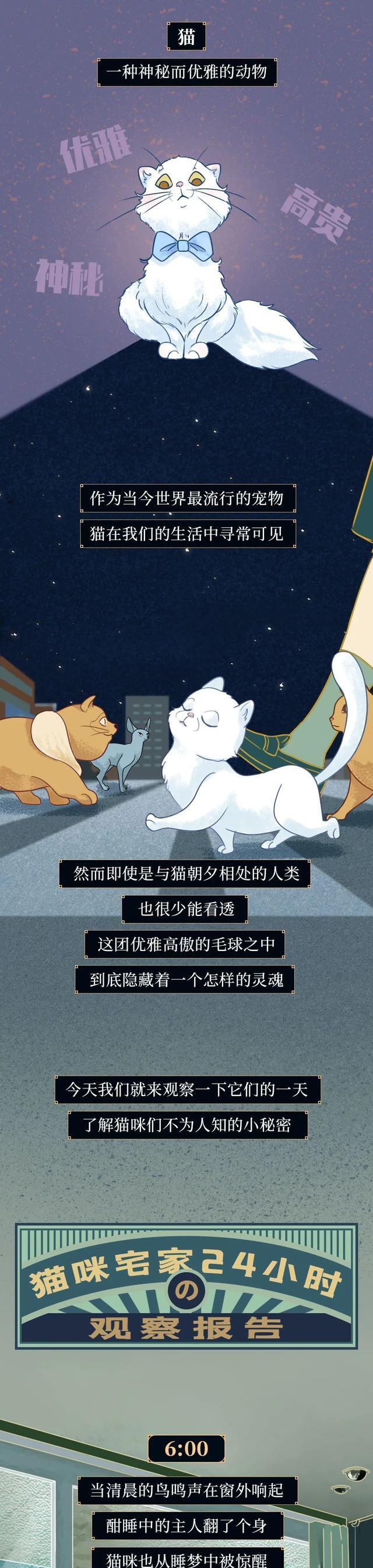 acgn漫评|一只猫在家的24小时:原来会做这些事,看完或颠覆三观(漫画)