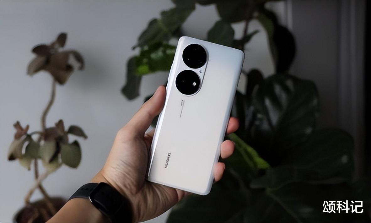 华为mate|华为Mate50Pro即将发布,取代华为P60系列,华为发力了