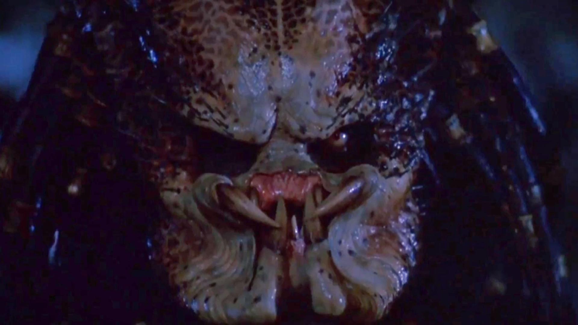 宋亚轩|35年前的经典开山之作，《铁血战士1》20个删除场景解读