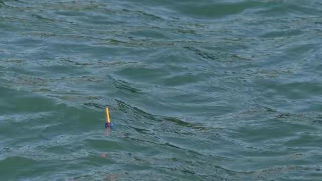 饵料|原来钓鱼调漂这么深奥