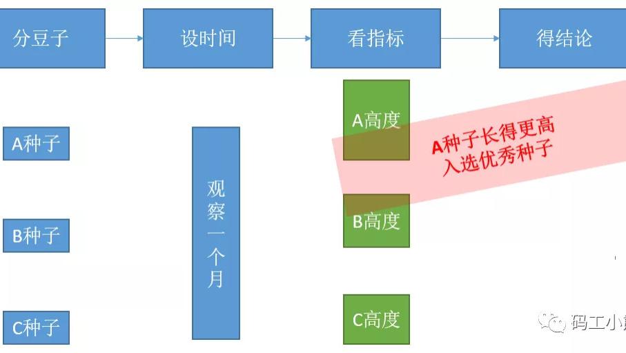 亚马逊|原理简单，但不知道怎么用？一文看懂「同期群模型」