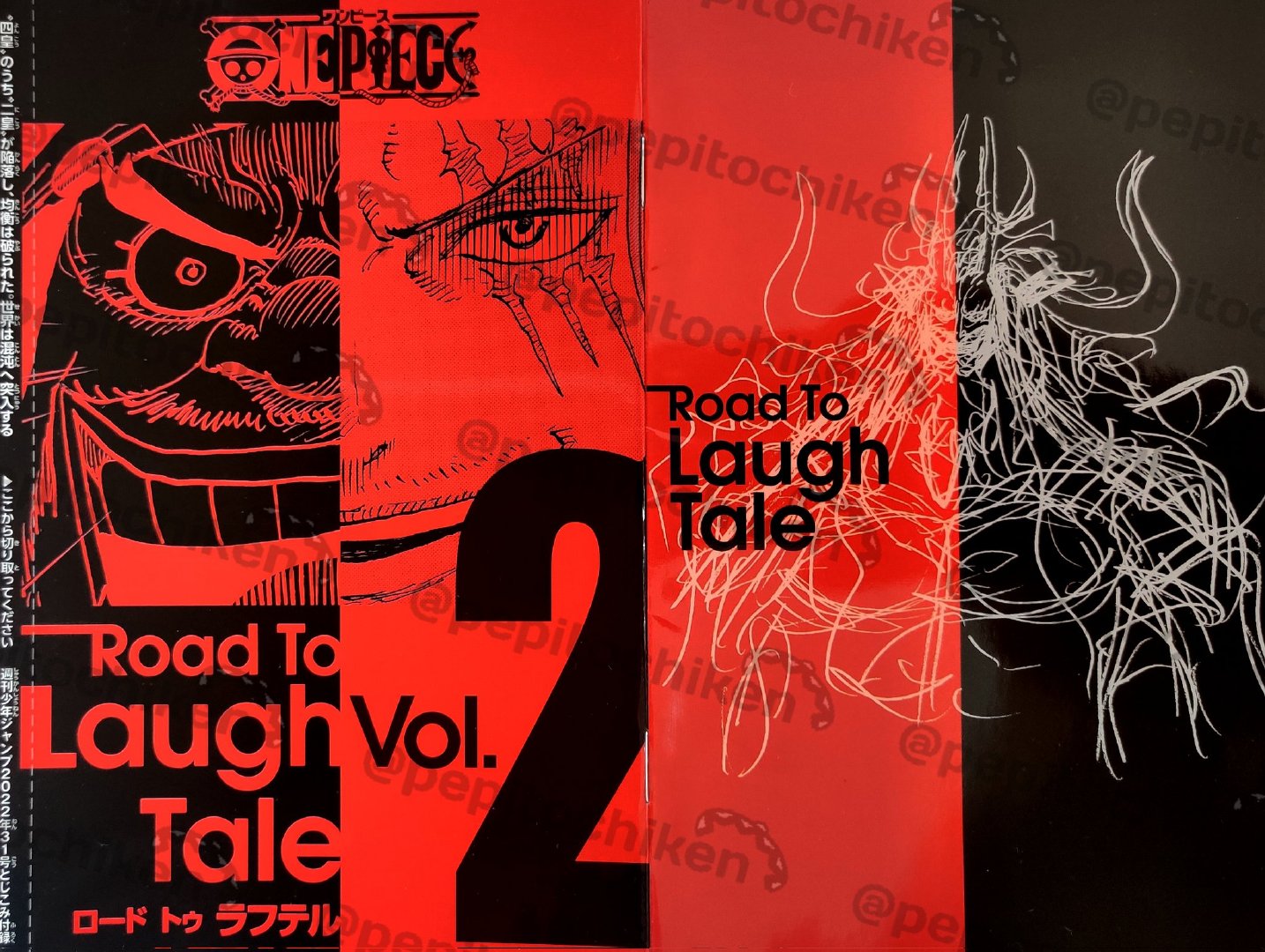 黑胡子|海贼王官方资料：红发黑胡子将迎来大战，黑团还有一位神秘船长！