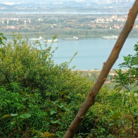 只为寻大地