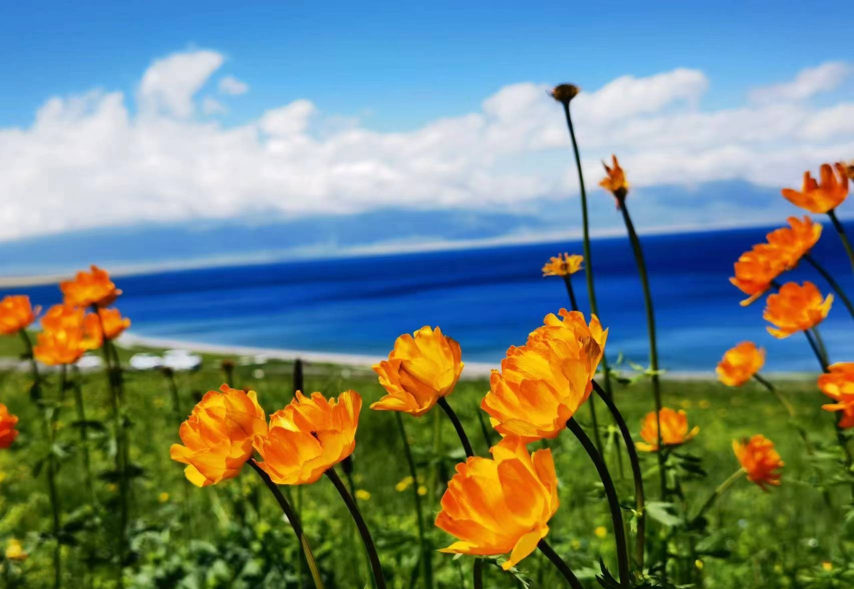 哪吒|动漫哪吒“我命由我不由天”,才是最该教给孩子的