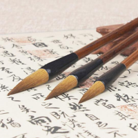 博学多才的北瓜