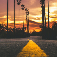 唐朝公子向北走