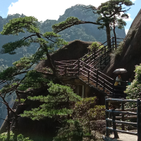 道家文化行天下