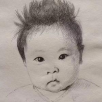 沈抱书