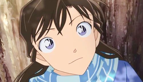 毛利兰|《名侦探柯南》中的毛利兰,一个被柯南、新一骗的团团转的人