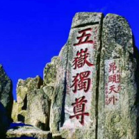 垂直鱼