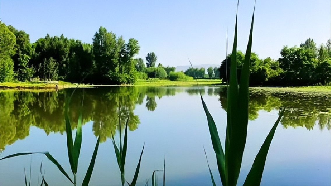 空军|今天的鱼好不好钓？这4种自然现象透露玄机，准确率还挺高