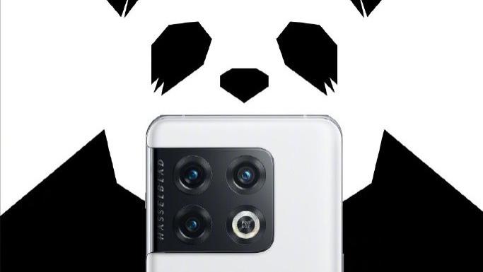 |5799元！一加10Pro“熊猫”黑白配色版本来了，512GB大内存！