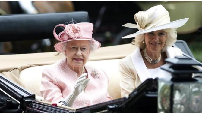 欧美明星|卡米拉被婆婆确定王后位后，穿着高贵紫色出镜，凯特向她行屈膝礼