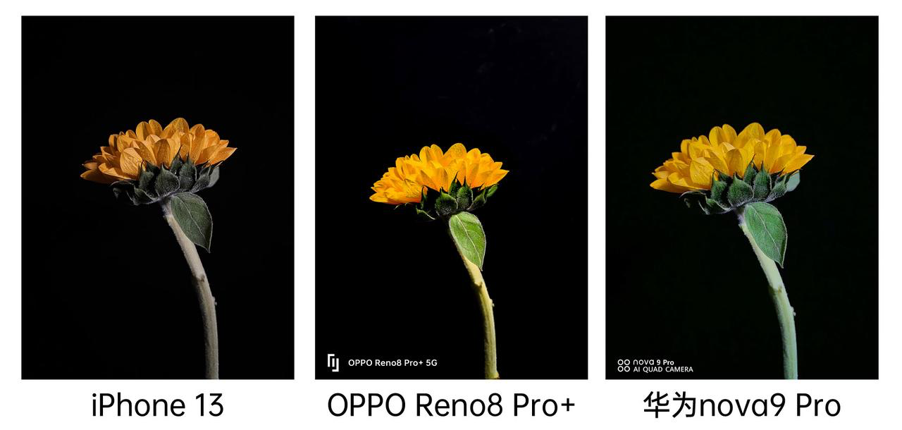 iphone13|苹果、华为、OPPO拍照对比,看看谁拍照最强?