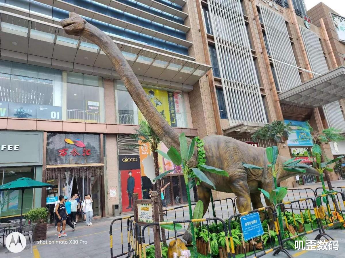 |moto X30 Pro体验:全球首发2亿像素超大底CMOS,手机影像新突破!