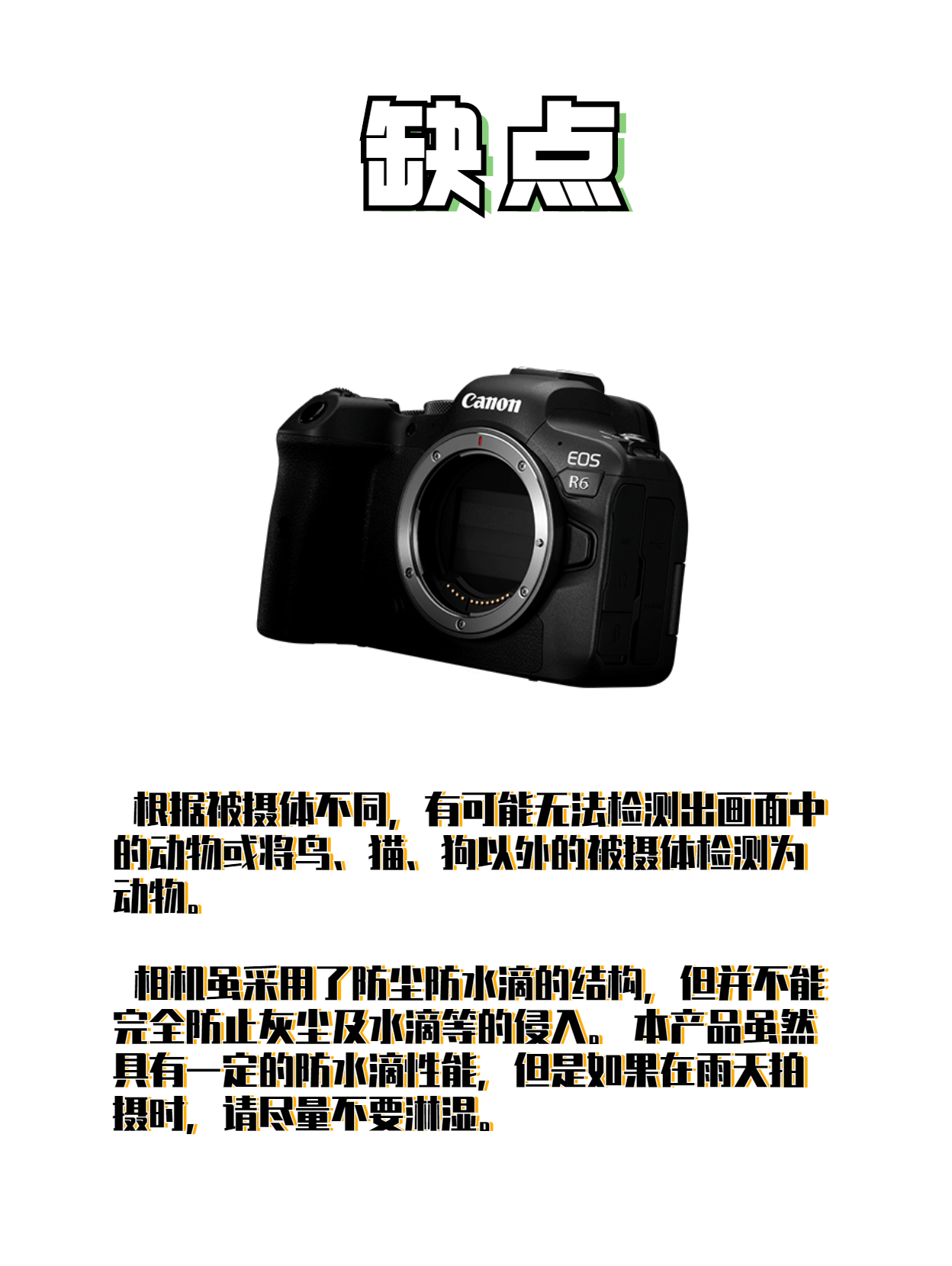 相机|每天一款相机知识——EOS R6
