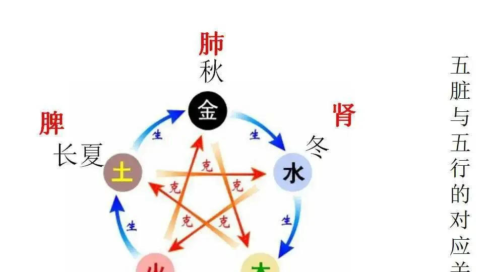 心脏|秋燥如何养肺？请收下5个小知识