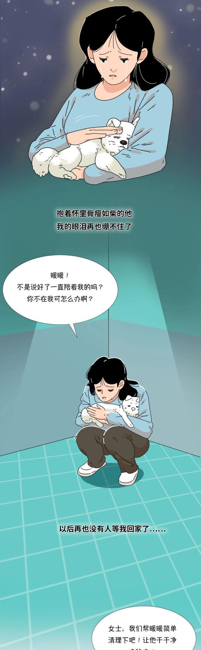 acgn漫评|“它爱了我5年,却被我亲手杀死了!”(漫画)结局感动了一群人