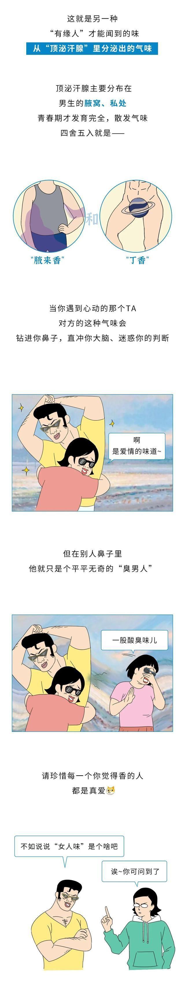 漫画|女生闻到的男人味,究竟是什么味道?漫画揭秘