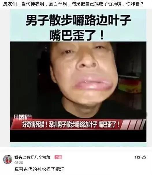 神回复|神回复：蜜雪冰城为什么这么明目张胆，不怕举报吗？