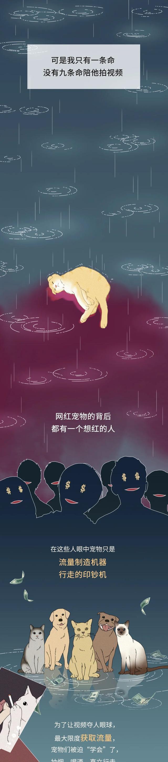 |熱搜上的“網紅寵物”，背后藏著多少虐待與凌辱？一組漫畫科普！