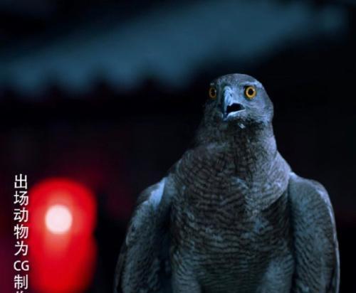 尤娜|“救救那只苍鹰,它快要死了……”一组漫画了解,万物皆有灵