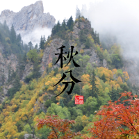 碧落韶华