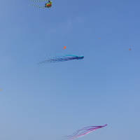 XL-后兵飞得更高