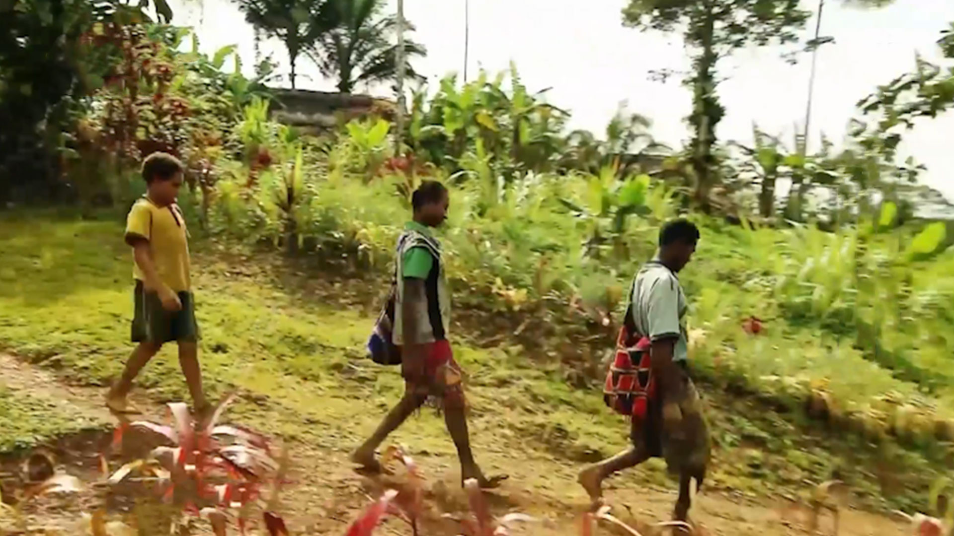 原始森林|新几内亚部落姐弟危险上学路，徒步7天穿越原始森林，拿命博前途