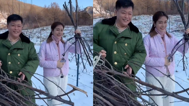 谢永强|谢永强王小蒙雪地里捡柴！手提多捆树枝动作吃力，女方脸被冻通红