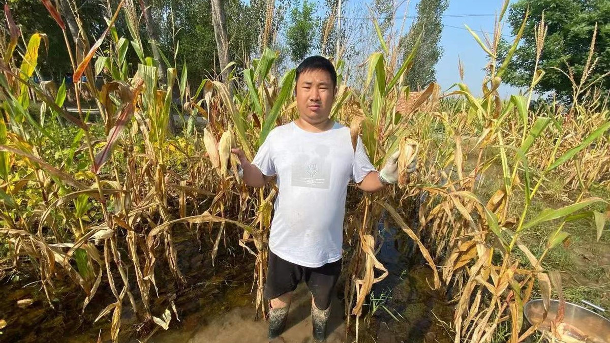 苏州|我，90后农民工，四处奔波打工15年一事无成，如今靠副业逆袭翻身