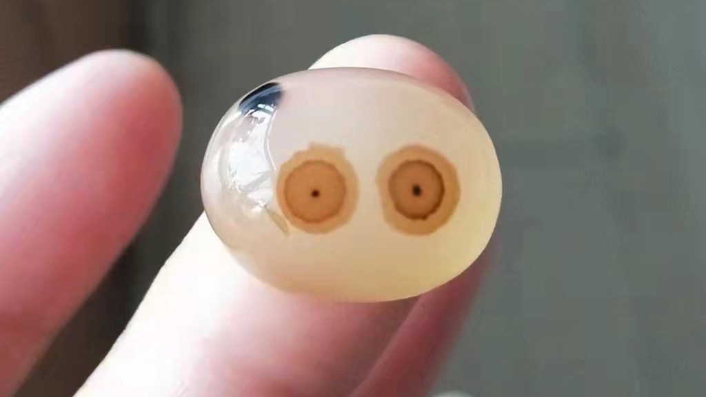 美丽|好看的石头有谁会不喜欢