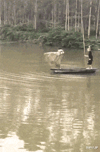 盜版|“你見過最離譜的盜版商品是什么？”