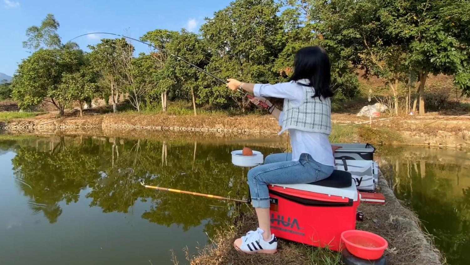 大爷|野生鱼的口味淡？黑坑鱼的口味浓？鱼饵气味浓淡对钓鱼的影响