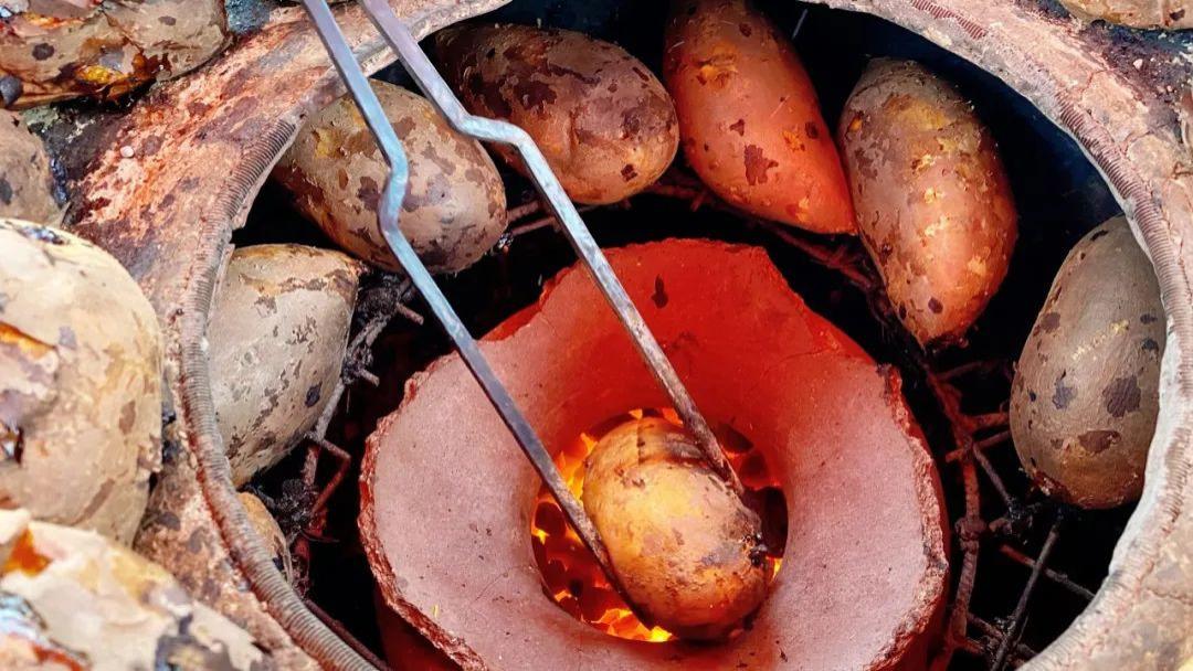 红薯|街边的烤红薯会致癌？吃红薯必问的7个问题，一文说清！