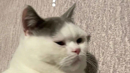 再牛掰的祛斑霜，也祛不了小王的忧伤