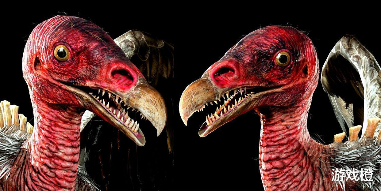 《暗黑破坏神2》中分布广泛的鸟类怪物