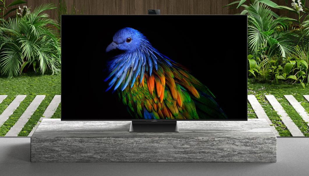 手机厂商|竟然是手机厂商在电视领域钻研画质和创新