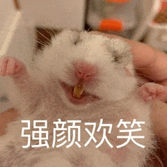 荣耀|出租房必备？无需安装？移动空调，没你想的那么美好