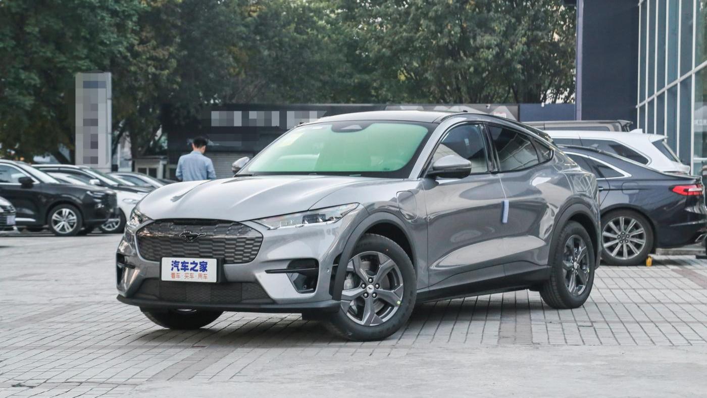 福特野马的兄弟？电马？